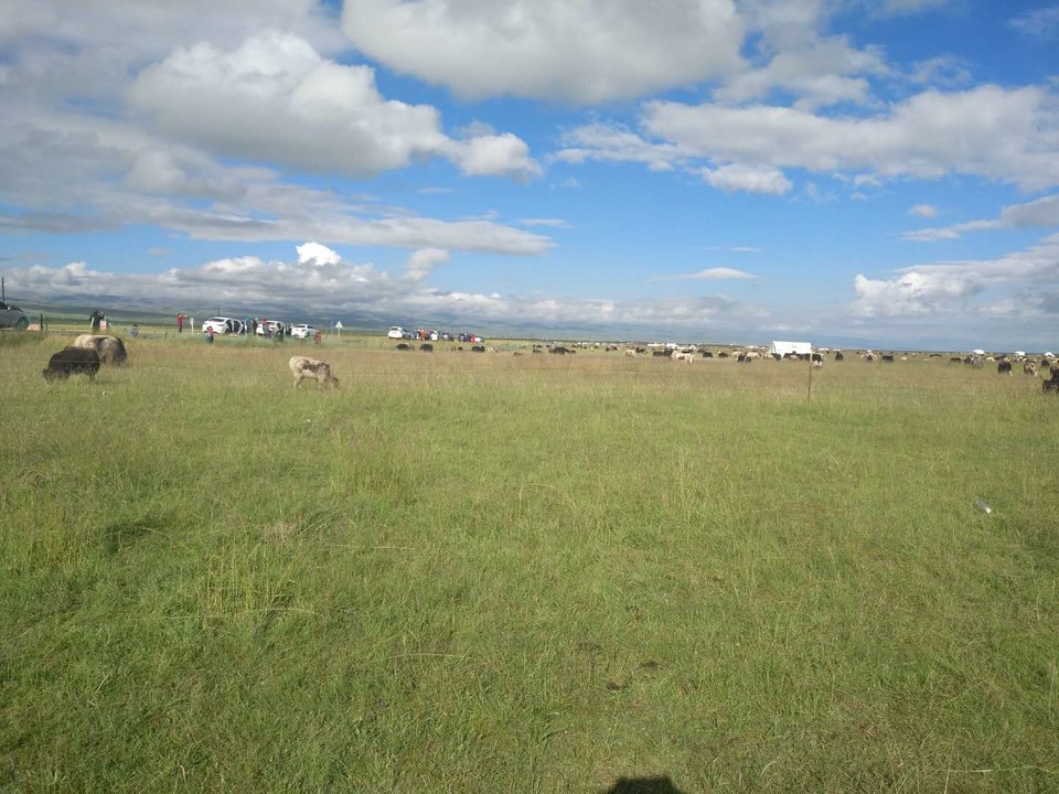 rAWdRKCW3-1YJ8i3alZc6THLYxBFdekg7jsdLHK0OO5VZCDv37SbXR-8LBzxenQT