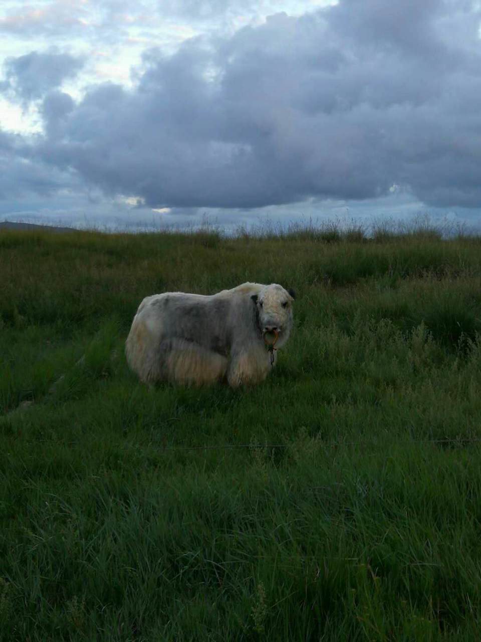 vdM6LDb5M74OKRFmTirCMsyH22SGehafABLitm9rX22W_-o1h4O-bTORqev82dum