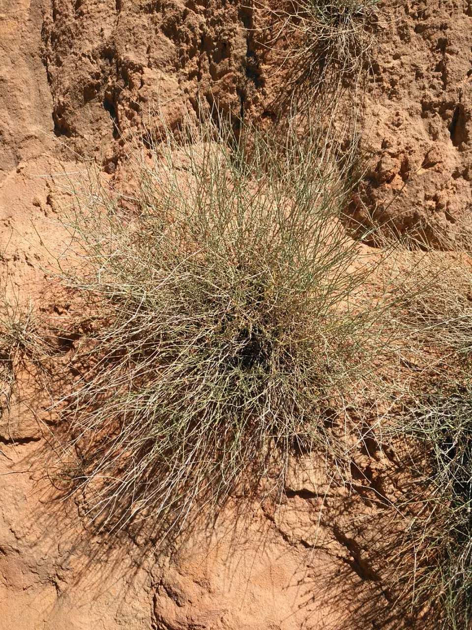 lUs3FwJUQ6UlVp2xiIY_NFeTMVmvi17O8Sq0a6CYNVzDULL0VPRtfcBy9hNdZ6tP