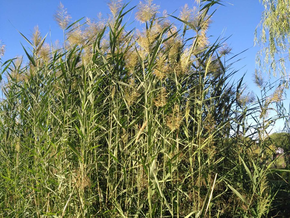 LC2n5TqdDDkVSrvOEEbENiORHBX3Uj6RWtF0bE9F0IEtZtw9tZ3uVMjXO0h_oFXJ