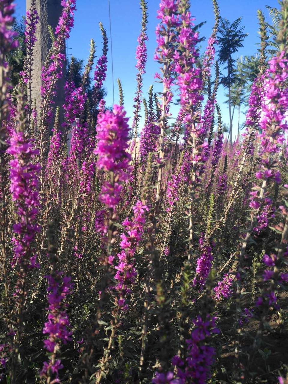 F0q5HaZfnJ-HognYSvOQY8vwpUtzwrXBvATa5guNOD6TWcKlwb6PKPrMwz_37E5C