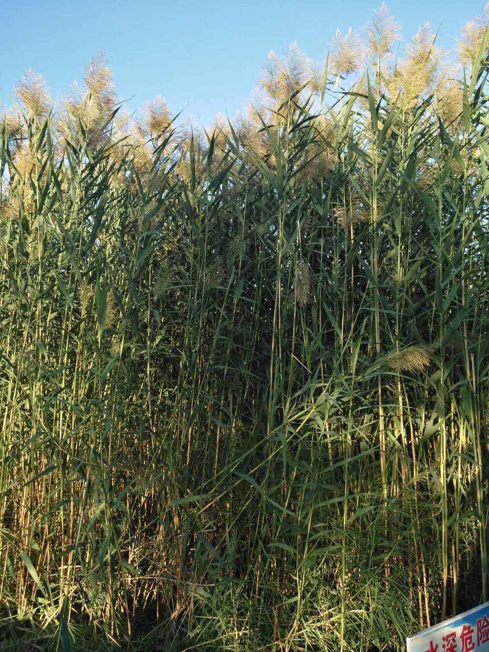 lcJvhw6cTO5fo-NcJTVrzNzRm0BLhB84beGi14TAjJLQRSG6IVxNRQovVsbS3ulG