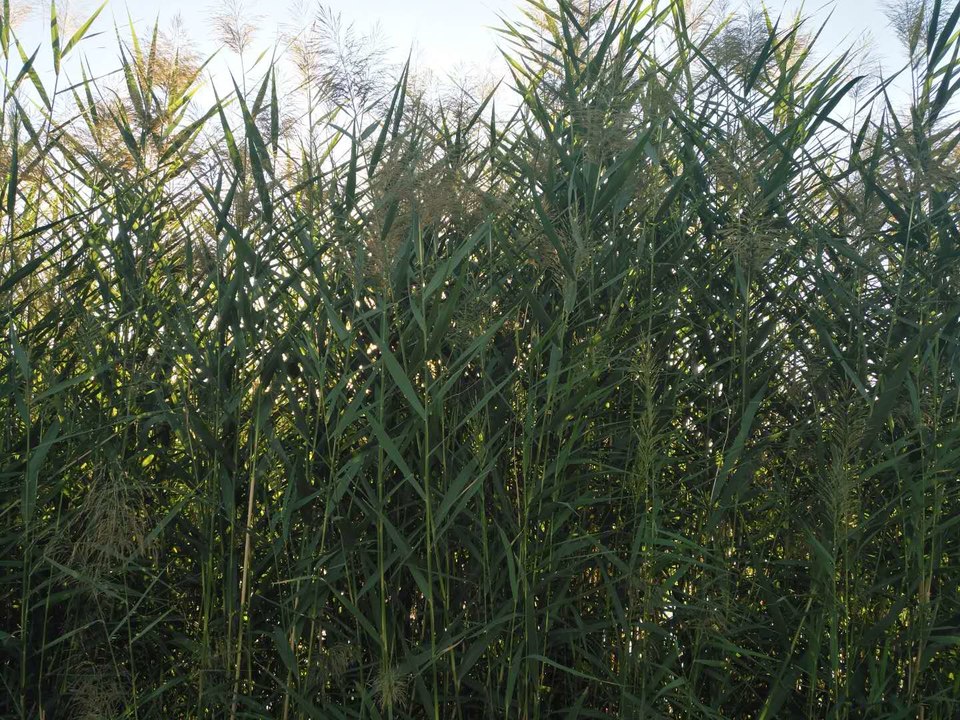 BgQgzfL-afKRQQ4ZglOqfwH0ch2sKTFqejKi_FGGec3Ebfpo8VNAq8gPSVD1lN2E