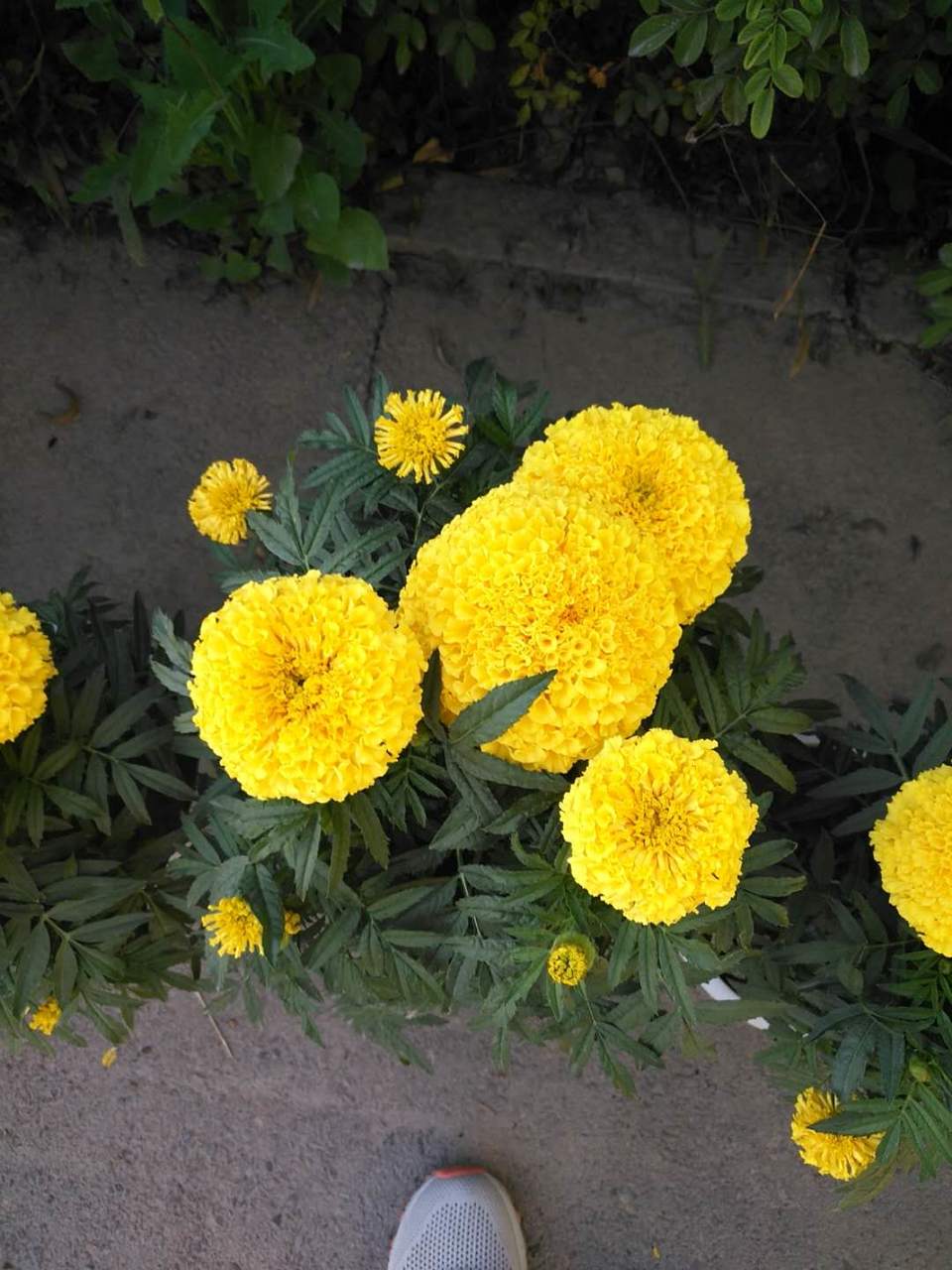 D2npOqoHxhhssDIEuEfKtz57lhV18J09MsZJeFAXz1Cntq32cxqfiQXvewKR4793