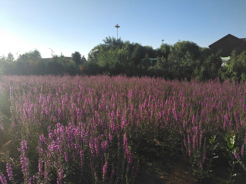 tk7J3NwHck1aC9W8ljZIHiXeZHTf03jnZ2s8PSbqjXU9J09yN6E2U7cDfrZA30hJ