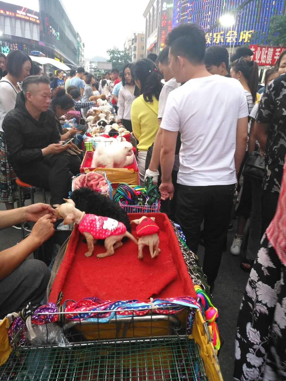 -AgdeNBrEVDBxAjFjkWiS5nRFZPx4WlDf7h9pdBDktfeReu2GPIHcokMw6qOHCM9