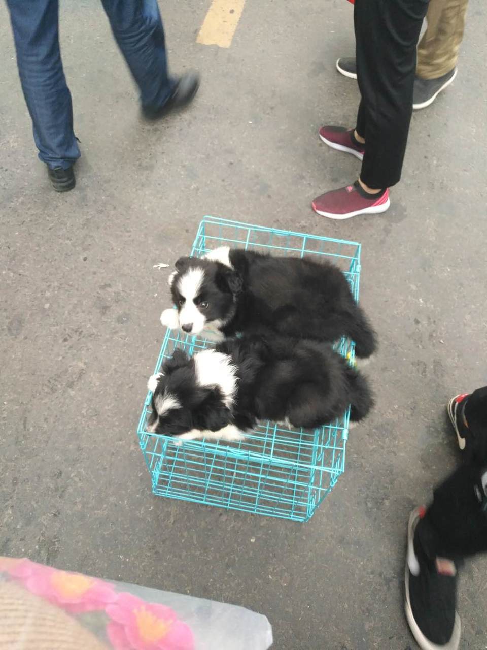 FB9Im1oAayNjUKkgHgmP1z9AyUpR_uJPRf_BfBaGOUDb-7d2mFFBgGVw617VHSYA