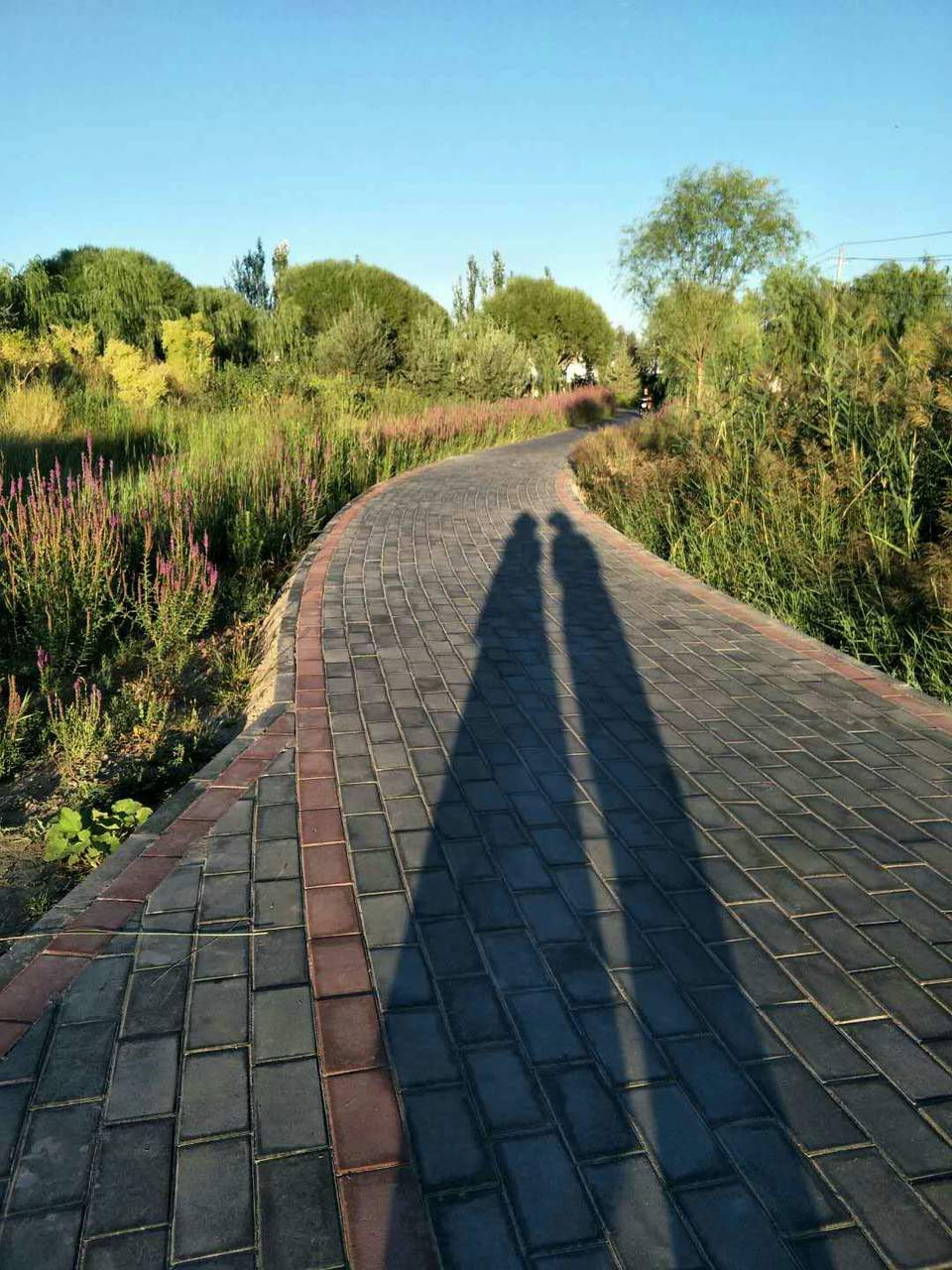 1I7AM_nWk-cWe8mjCTFRzwoDJTBjUVdxLtMS1KMZPEsifj6IjXKvkxVOK-cFwBus