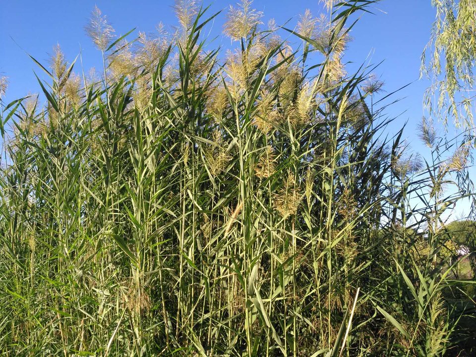 _iXse-__734GRUBp6LMvAlQMFG8tMNVVRSm2IS5R9T3gPDw9C4kmwUvcMJjQRlQp