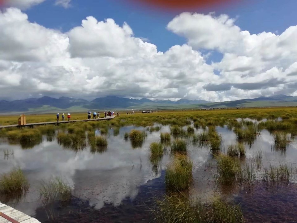 9cELl8cQfpjH1UtUc6BKK-WS2S6PIN0_YJdV5MlfjE8qXzxgZGaX1jIrMdBaRELj