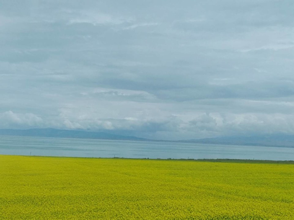 o5ATKQiYND1cqYNNoQ16aGkiZSTDhF6t2bLoRBdCg7VDCuF-gs331d2Mi7-PRdBw