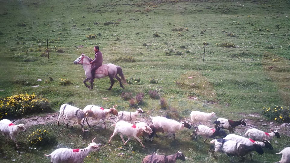 k1ZxnK2-ojVK_zYvkxKNHXOjAW1tp-OozcaXi3J55FVMNdTTE085pOIDDNhQGtiz