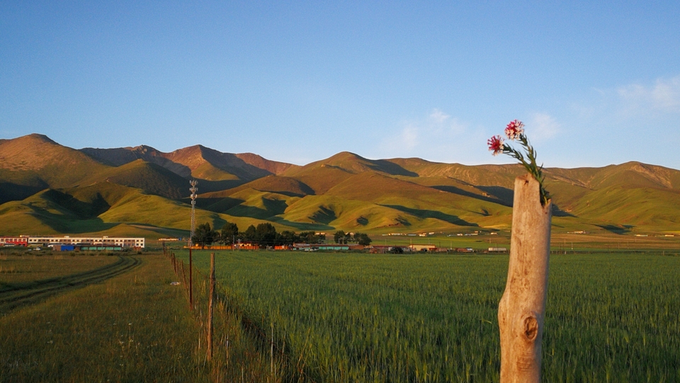 vLxQqxbASPXCCZvPw3V8UW_WHrW1MJtQW6OT_Zt47PSrxj7GSUTKrGVT2LlRBIM2