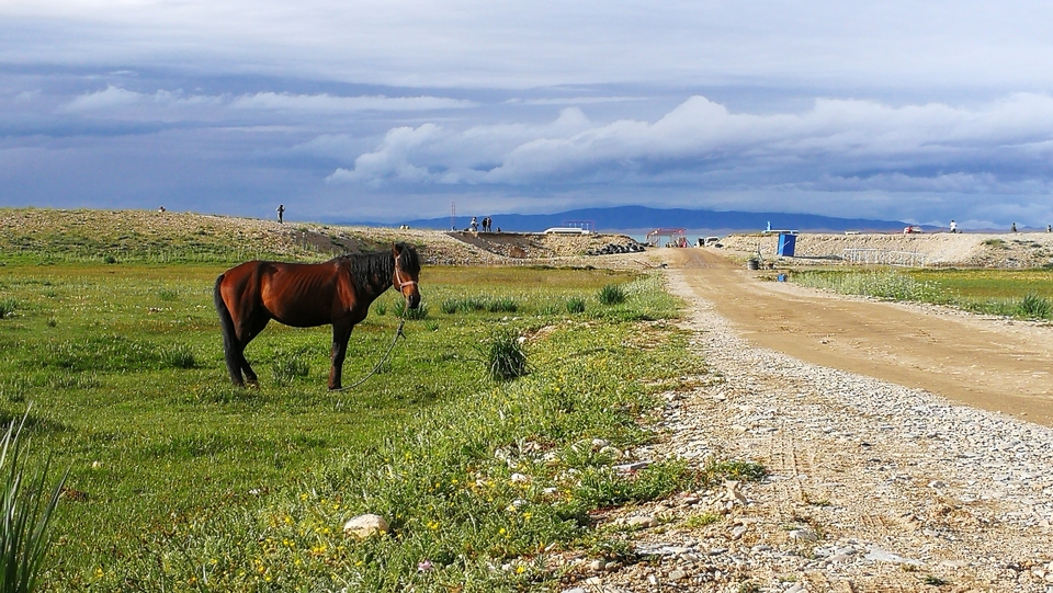 ezQuQ5cC2wq9L40zmAnLW6ht-U_4UBLP2_x4tgN_l8oYHJTlXNVFUJL4D07X4O-B