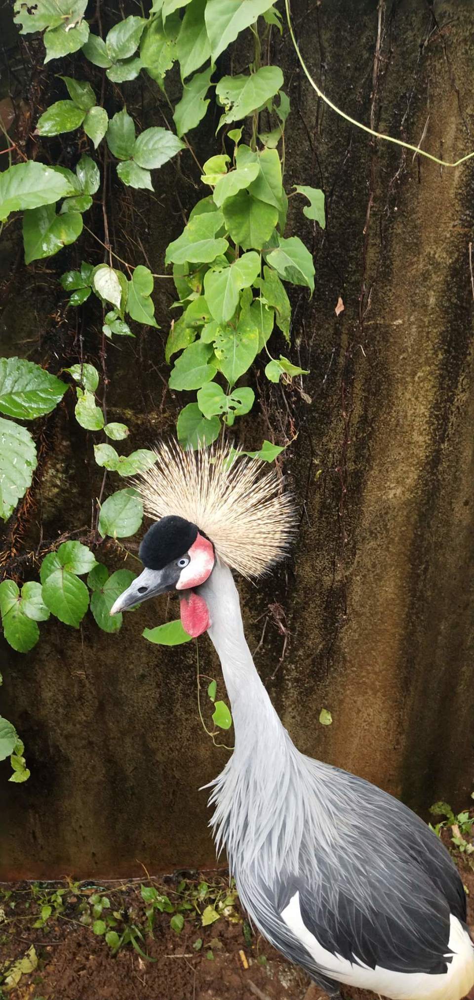 zFElxYV_qGijc5HMRfCd2lEaP1DrZgw8ddOq09tFCNBmxi1GgnLHNUdSsDY9k-s7