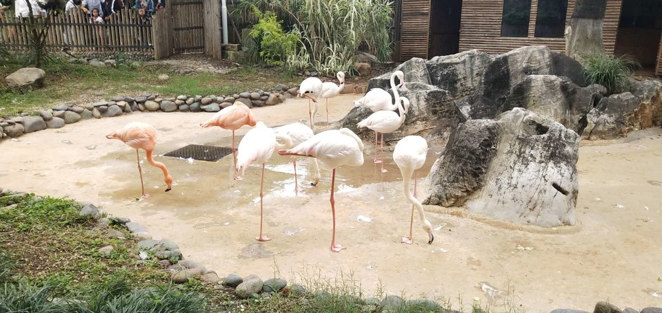 d4cV_NGe6rW8irpCl0VlQ44zCtCMTbAImqtr8owLi-jYqVpS7BuOPgLuahldnL_a