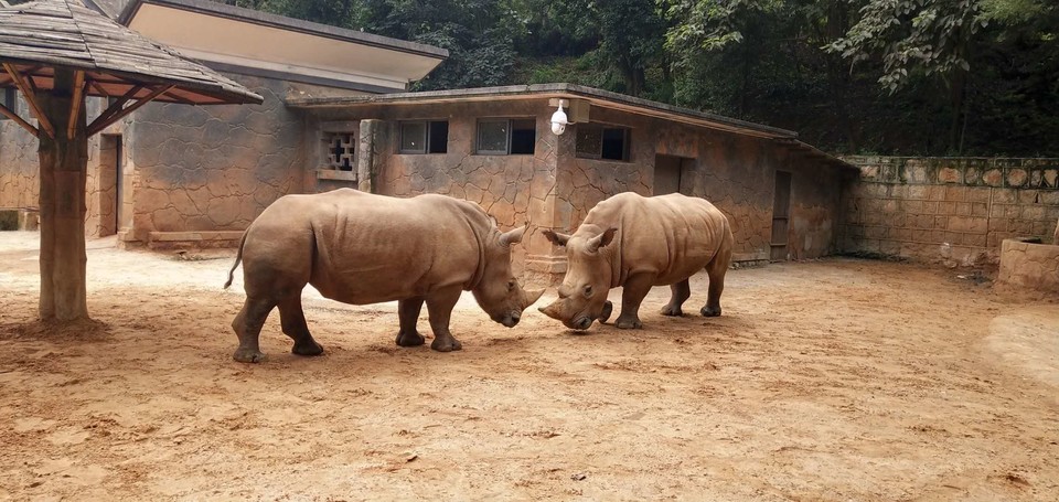 3AkKUbC69ZmJO1ifhqzr0YRK1VKsRVp1yWGm2d15o6gEfVqvC3Q1OsUKNMW0TMX5