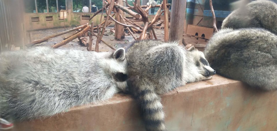 9BccBii6KjHiCD1rogfCOQAiglNNzmDzVuOm6hY2vmjR3RdLMSr0iQzyEZ3bNdev