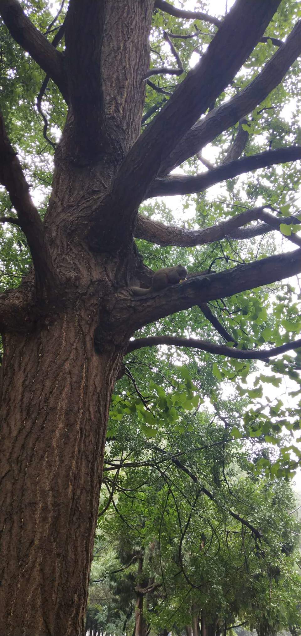 Ni4iQj022dSj6TiX0aAiPLJ89zG_shobhZvm0kSaLmn1GZ4gzUo2ud5gWD9L0Ucb