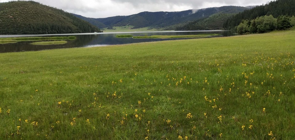 Q-lWh1tdqf7hU5e7hsKH9IJvdm-HqwGM7Vc8cDeOtoCmIrkgaQwRgtKkgrE7Mvar