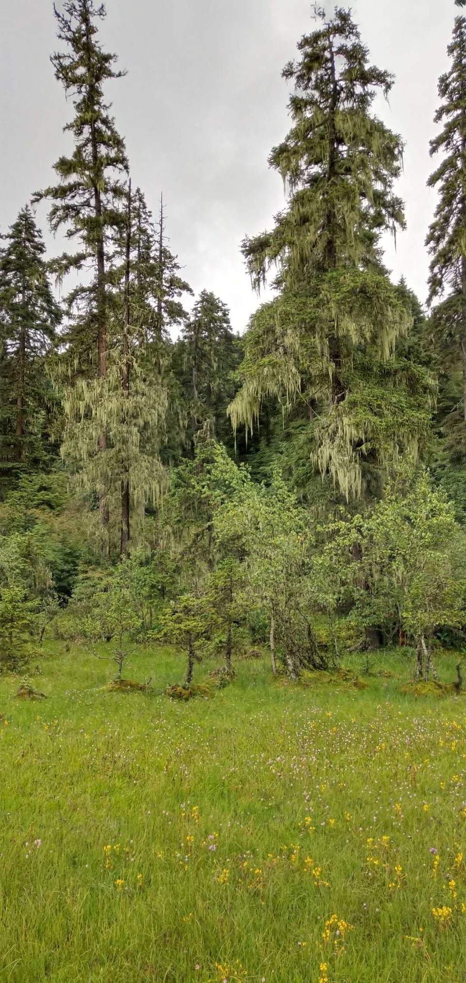 MoGUqQGDIMWE8MpfhL2rjYwiyXjV4vcA7IXkrbk2rtAPPrlrFw7MR_30a06-iDih