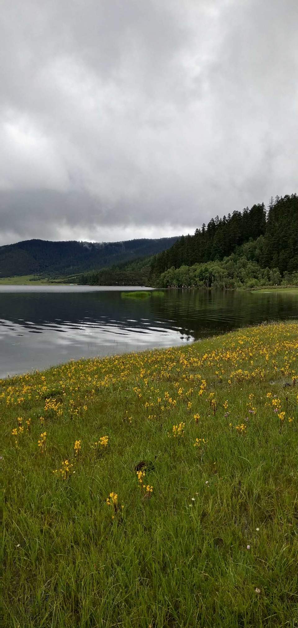 aqD1JzDJPZGYgMZYHumqE62hAvW9WKZxggbLqhwfLBkFHI0LomvCIodygg3d2TSo