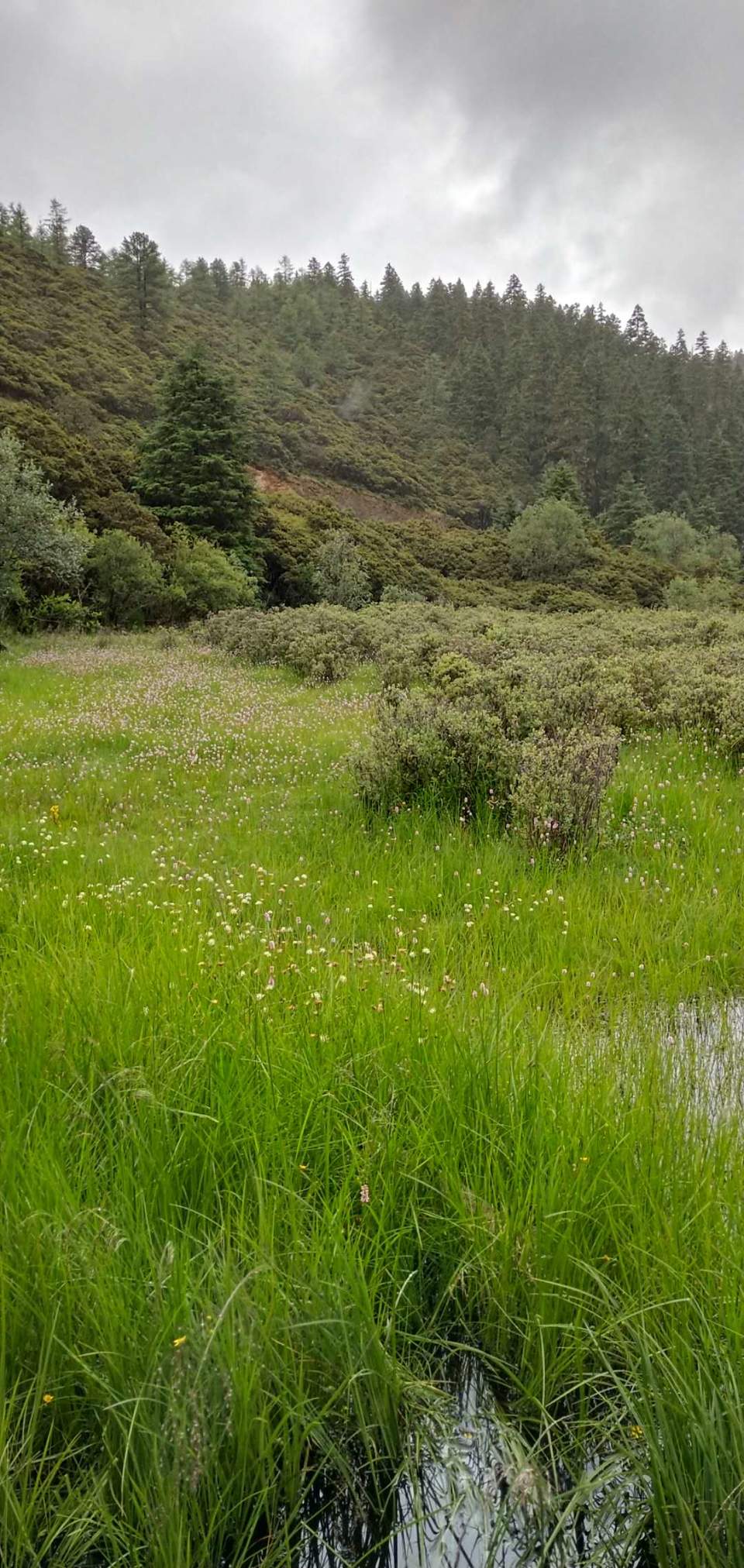 G8UWxITfInYFiKOOtTzUdoANVtx-WkeJvflQYILBf-TIEZc81LynUcYy5fD6x-PM