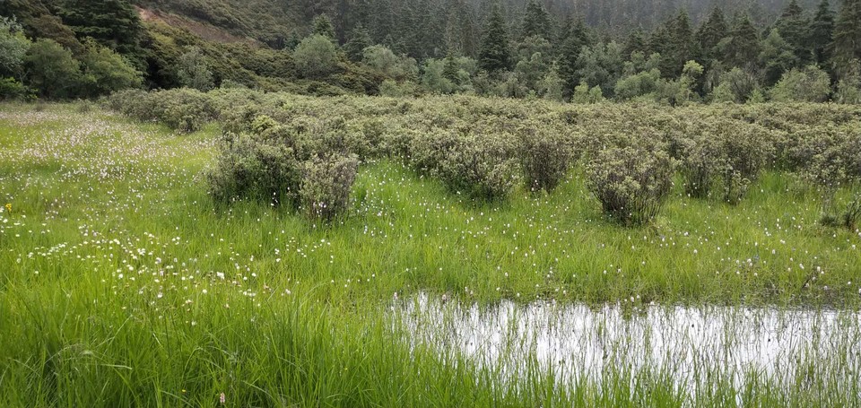 tyEv9WOlRX1VgNQzGApWhSSeav05ee797KUlfbS5icSF8HUxsaK1MQaaL31ZutN9