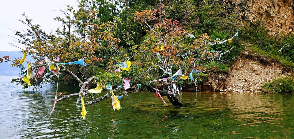 01ahUtPYPEr1fUEChLmuKlqOl50d1xMgofFtRV3BVzbKHY_1ID69SRDD6B2bxJIX