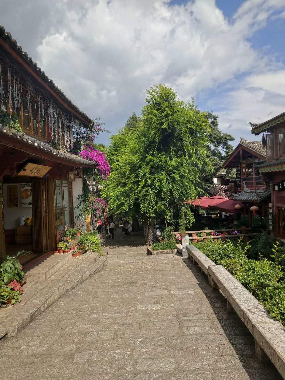 SRfyv9XoiVfsT2y236Eer4HpUDggYrYibCMAOGFFUA0mSlzx9iHQw6Gl5bwiCTyc