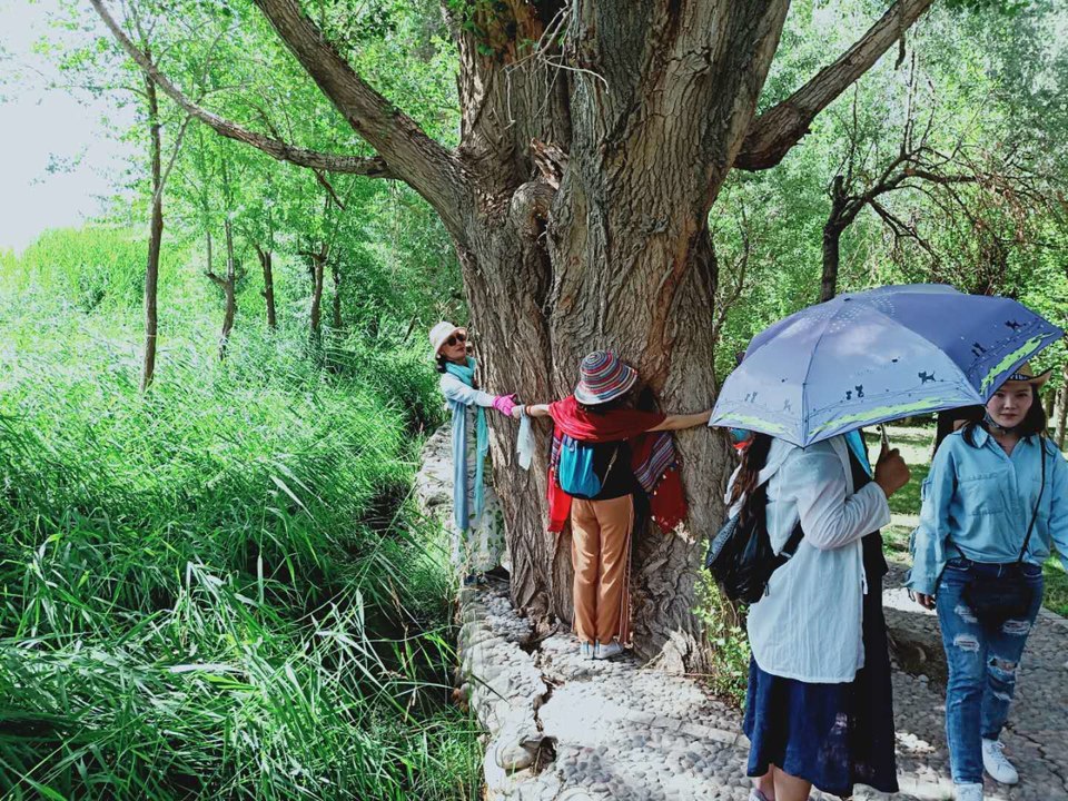 aSiGqNiJxZRy3J1w3bZ3jv3KbIhteHZvSSmNGNfeuTsaEmIHPtj2QdKNa_oUUaxA