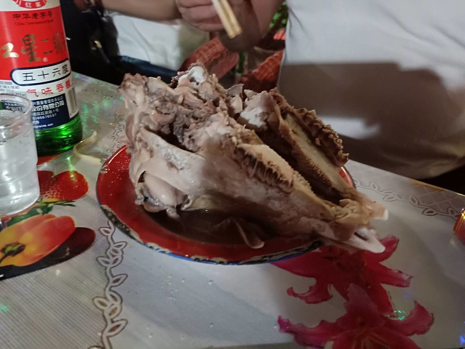 kn7cdJ5Z7TotCGterN5GsMcgZatL3Xa0Dhk0M4Us2mvg8Pnt0YVD7Mf10DQVkS5N