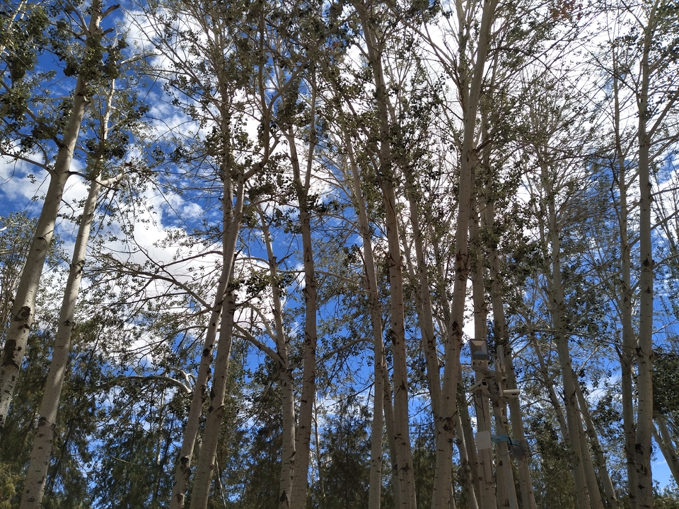 rMlc9VE6ZIiqkce72-YKV1AmS8a26SBbkMzTyWC-mxrPpq70YeXGGMBe0C2pVr33