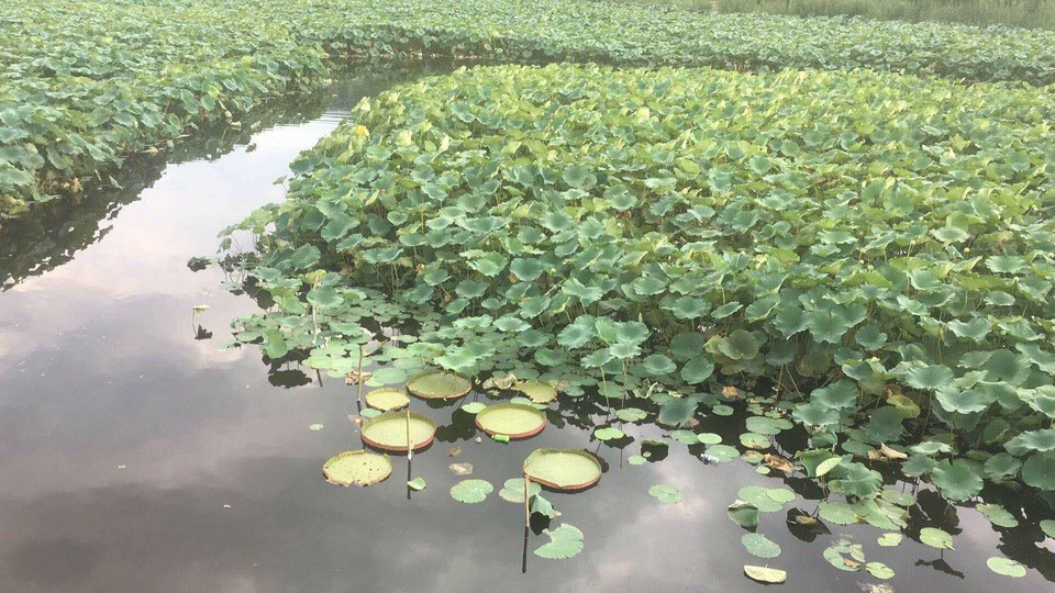 PfMcC1ZN7_D46oPvPaiSV-4vqVh7yAcrd1nncqpcXqFtuBCvDnuX57v25P5nVhMn