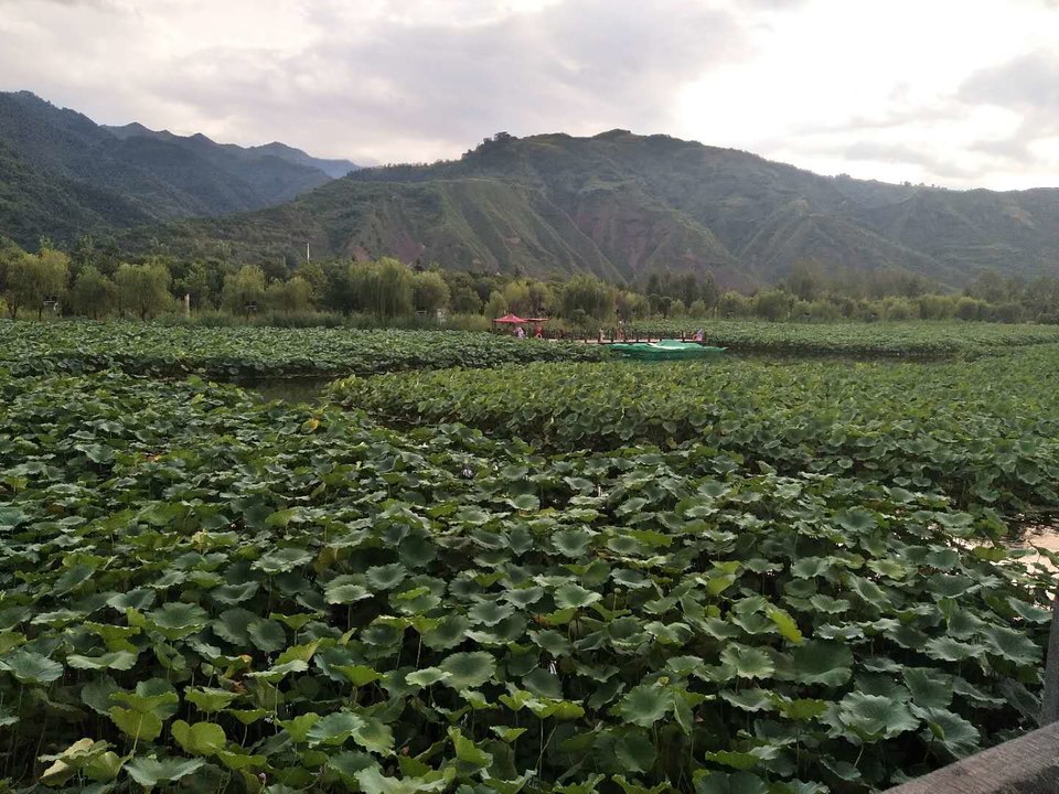 l8exyk2tJh8B9PQbKitNWETvzzvjFCgnK5DONtjIwmiI-A-wJTM-i_PRtJd2uyQz