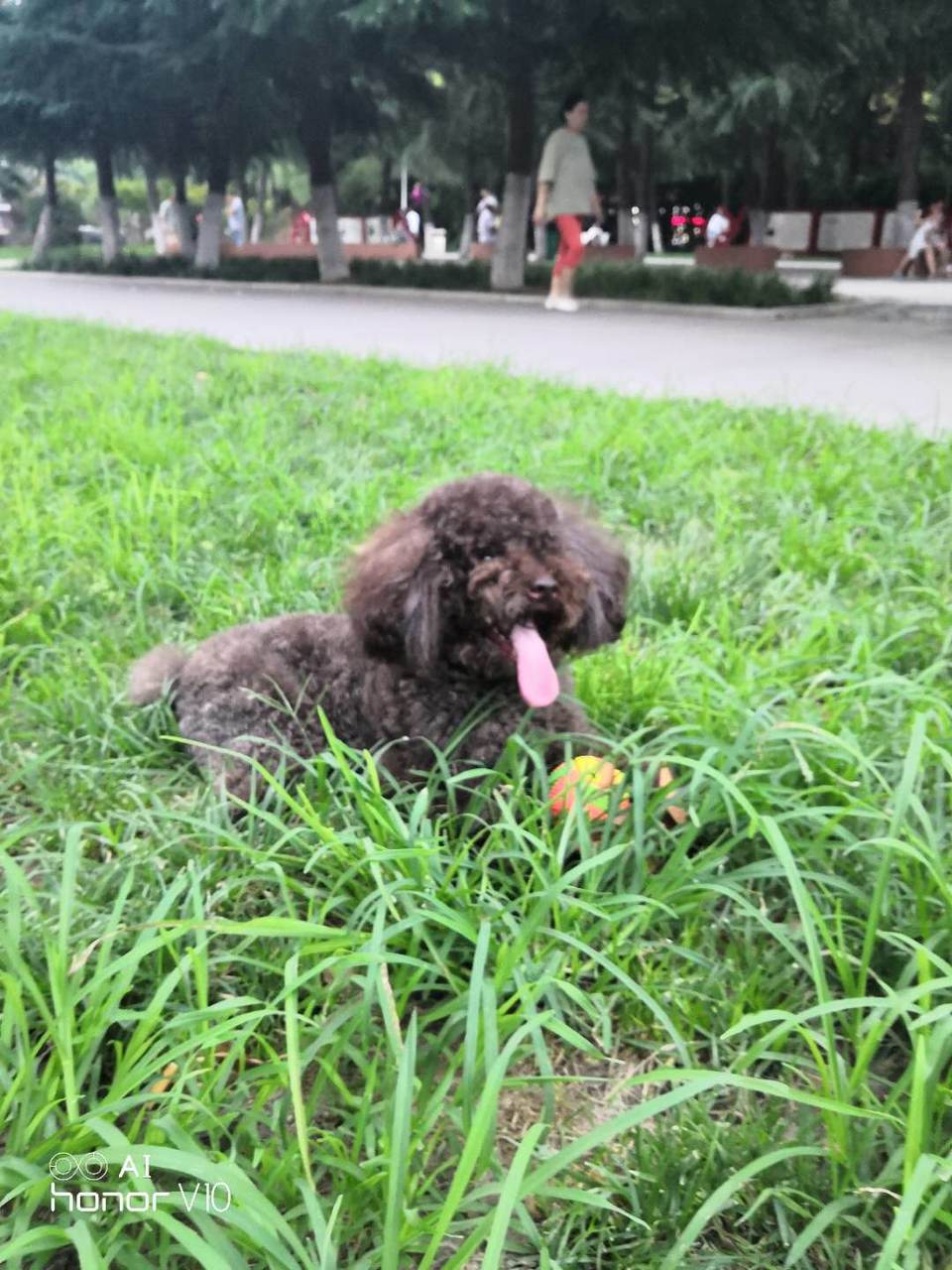 pesny0zpsKGzQ1WS2B088hHWBYCPqVs0LOAmKRtNmYwsibHzVm_X-zMOyPTwrvci