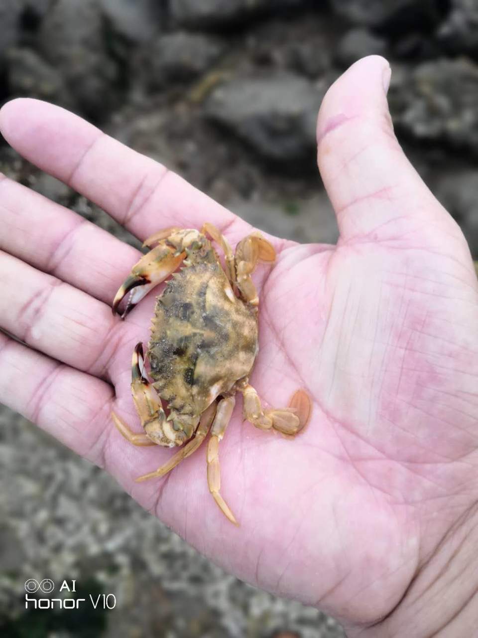 q9VTu-kKeX5fT-CyL1bXPuxS6wvq9GrNgucc8DTdT65w91HMLRRGLRmXbwoDViV7