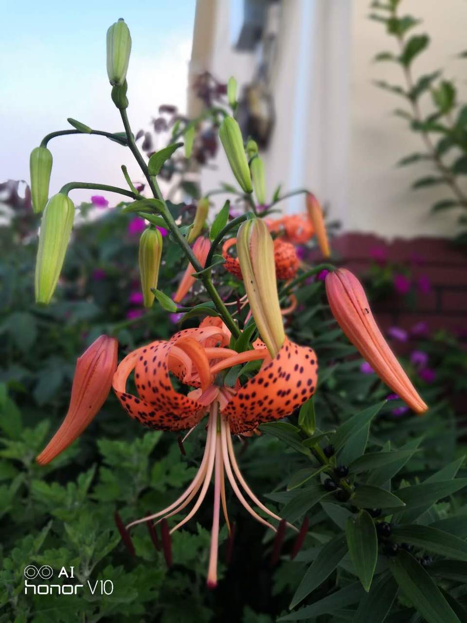 zpVoI2xS7gA_vk_1rjt4Bcy5ToxBl5yo_gjuk5i4CevPuAAHDO-Wk8aEQBFTGjuj