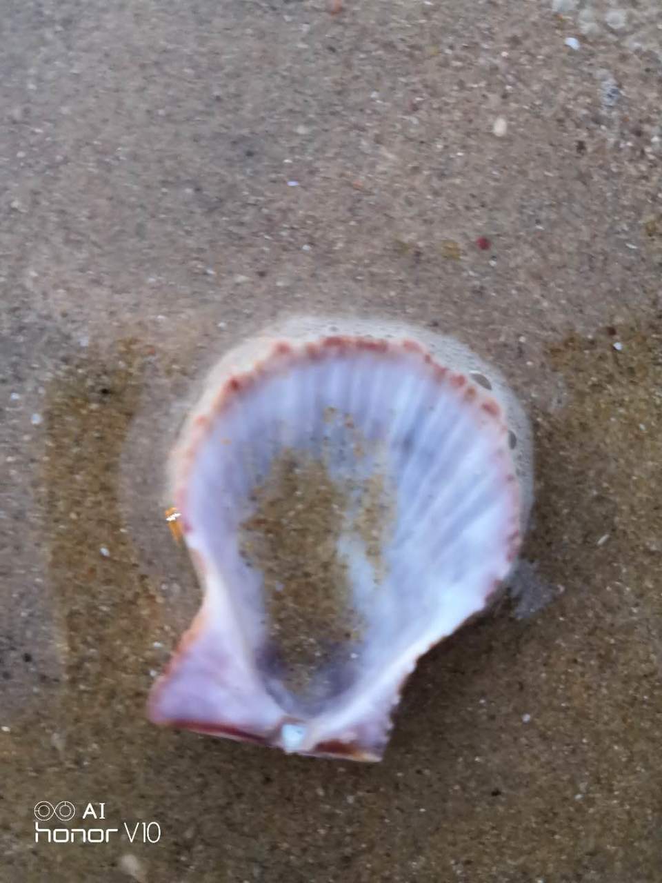 FGZxbqte4nztA8AG5ZW1M2tSVXyOj4AkgY_VoYFy0wn6DNzrOG_0YKxQAa5F7g7M