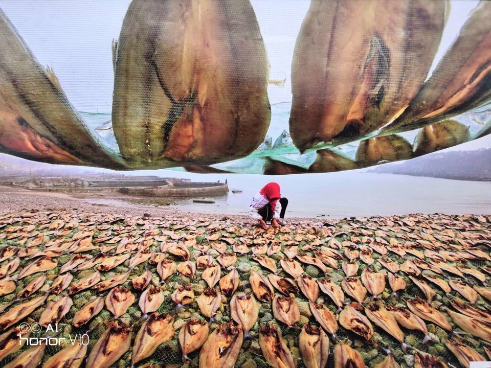 h_SV1At6v_iWFr4l7u5oHdXcTpxQvWLqwDqGR3b5sgo6pdfLVRbbJxwl134y25Ck