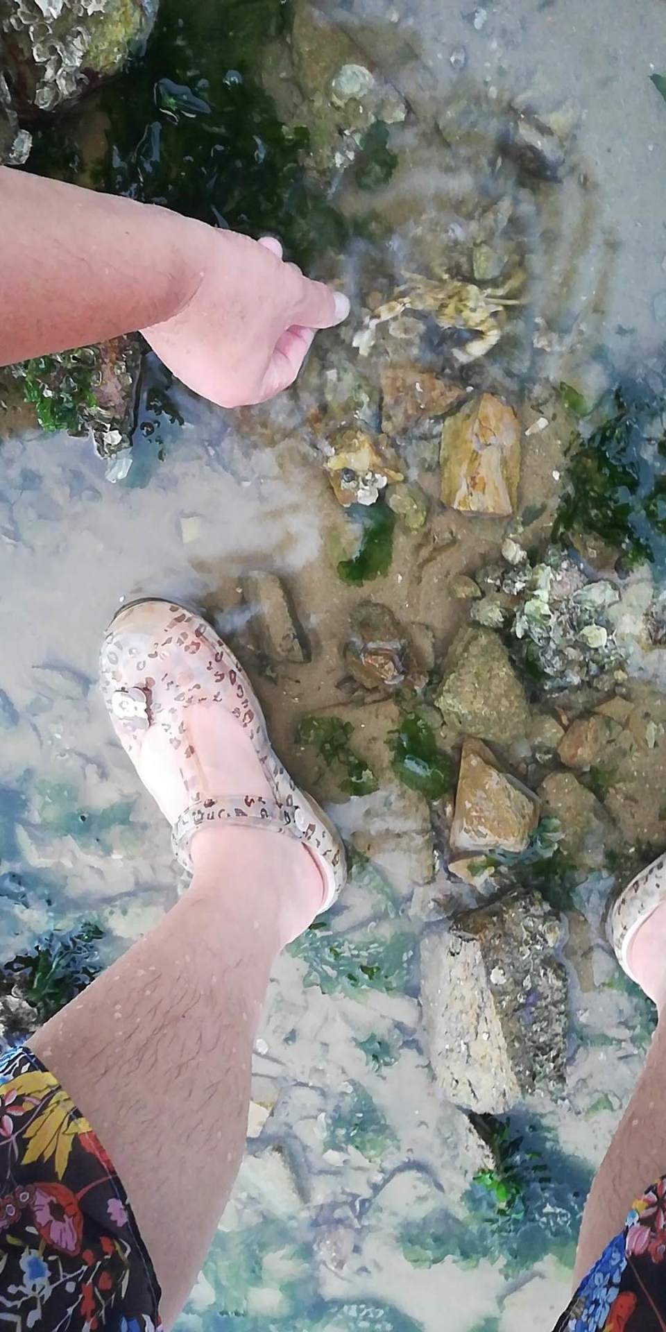 llgJBKR0NPyM-gP8LQ9g9MhIhqO6UA58JmKCG0Mq_S8sp-6nNyO1IqziAwgGHMVb