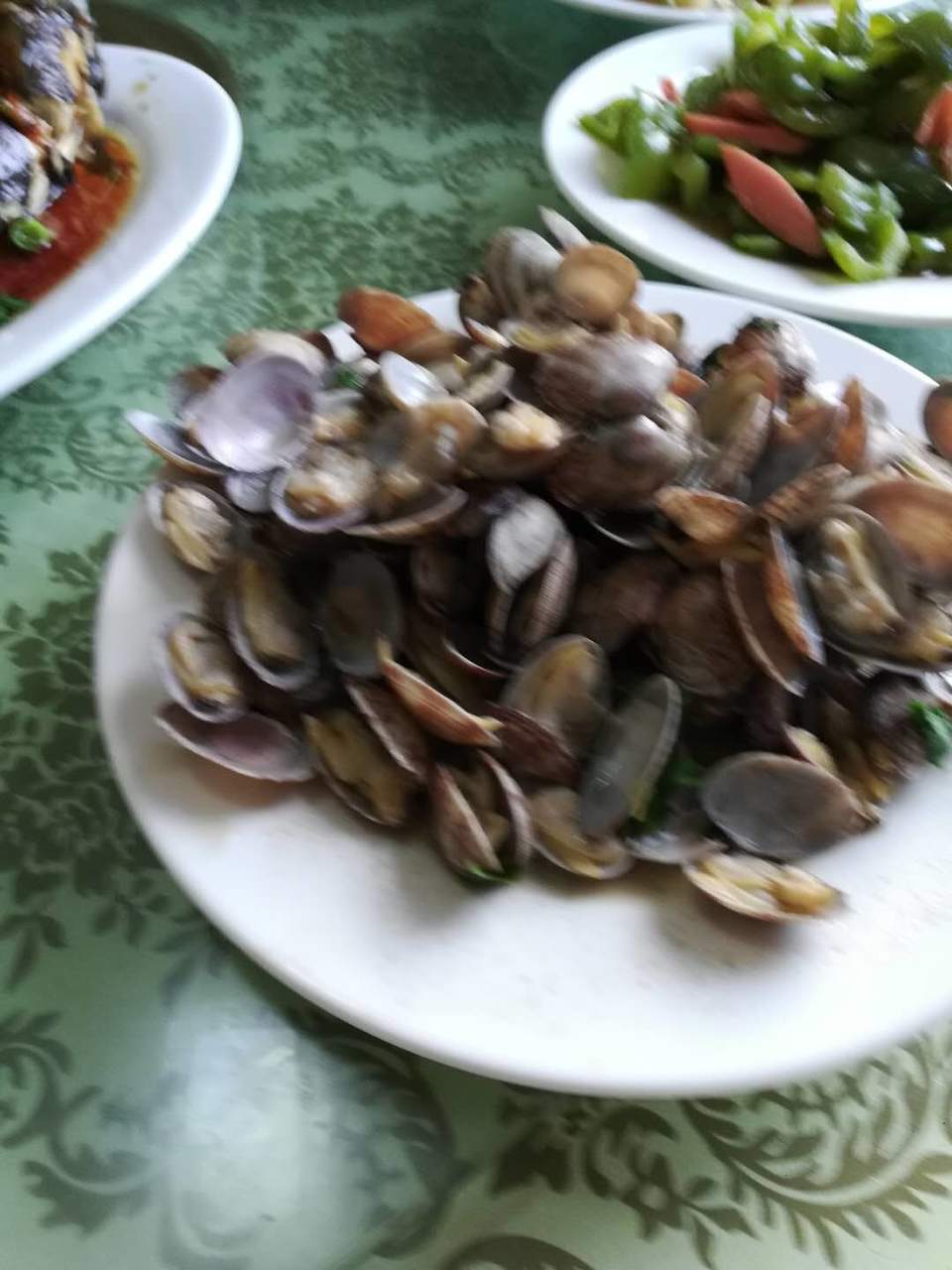 WaZ8iVMioQHZd5ASf40Q0TcA0YGM94LLMd-o-bsxuPhcOiAK7aX6wywJYe8ISQO4