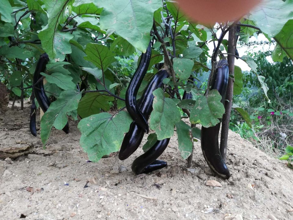 Zi031dDzUbCaUY2O9ymhW8YKUug-ASTjSwaHHKDz1MPSmErxiRi_S8p9EfT4nZG7