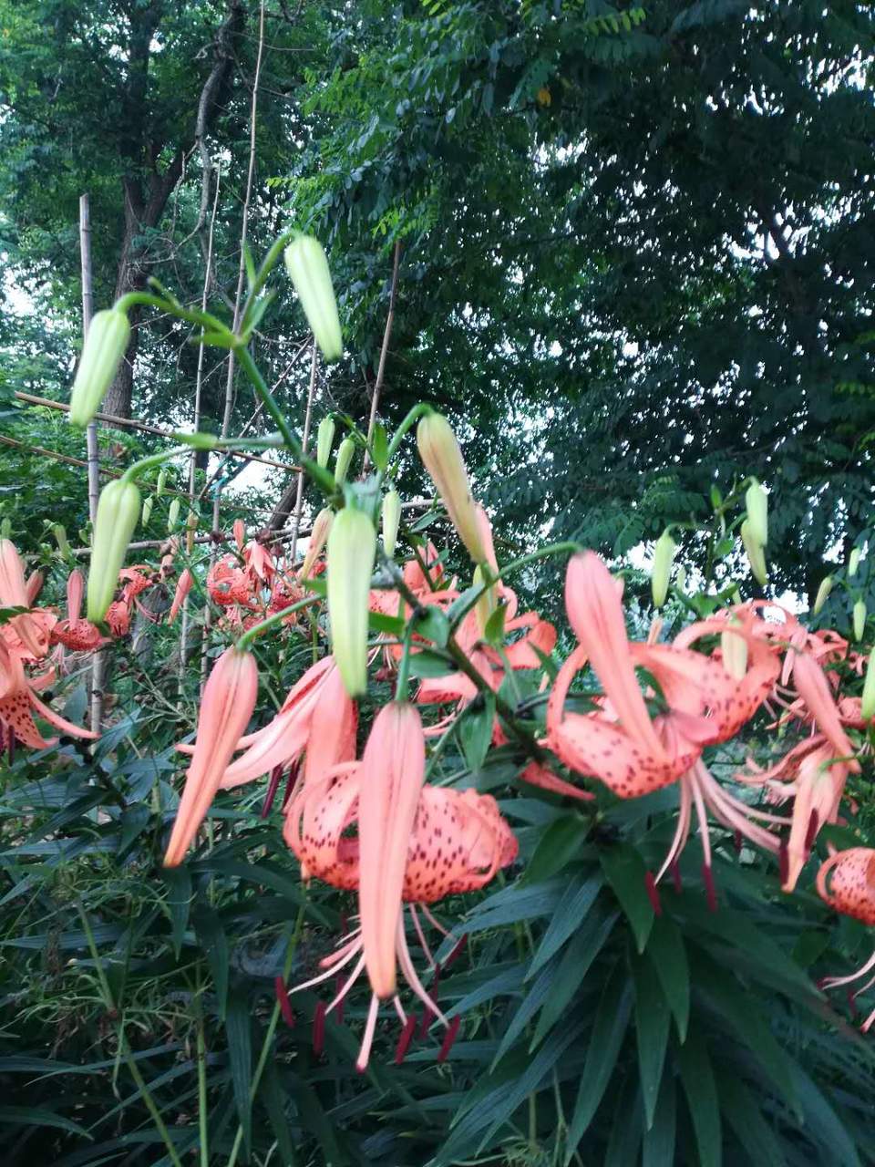 xmTPi7VjuqLjqNcevmvWfzBkx0GYVxgwhi8mh4M3QeGx5_92MNFklwb01YeWIIkb