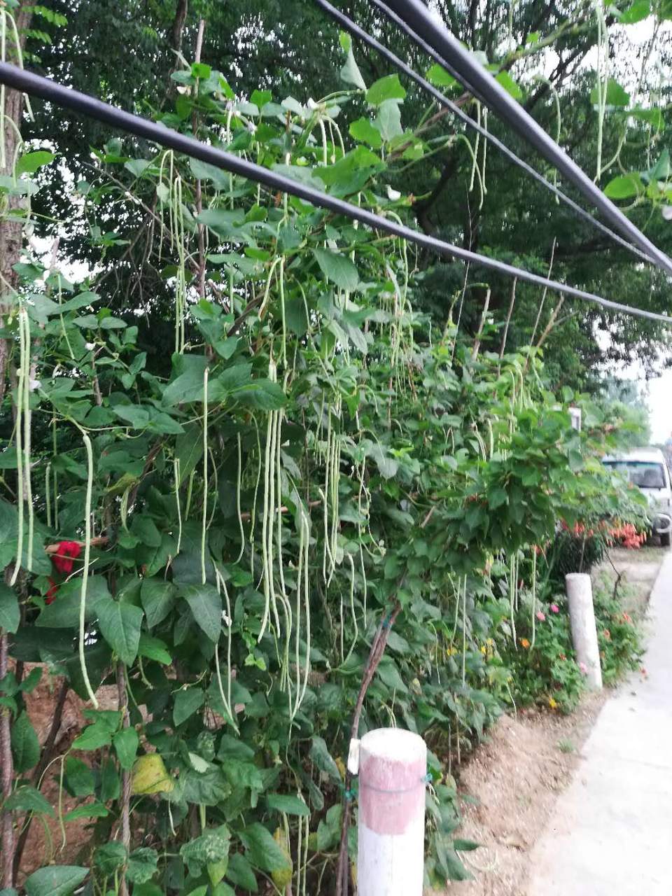 xa7DMzFGcWdRj28tqOaNVU0-jfB6D3xBgjeboNQQ6waHHReLU3PyKdalYPyIkhd-