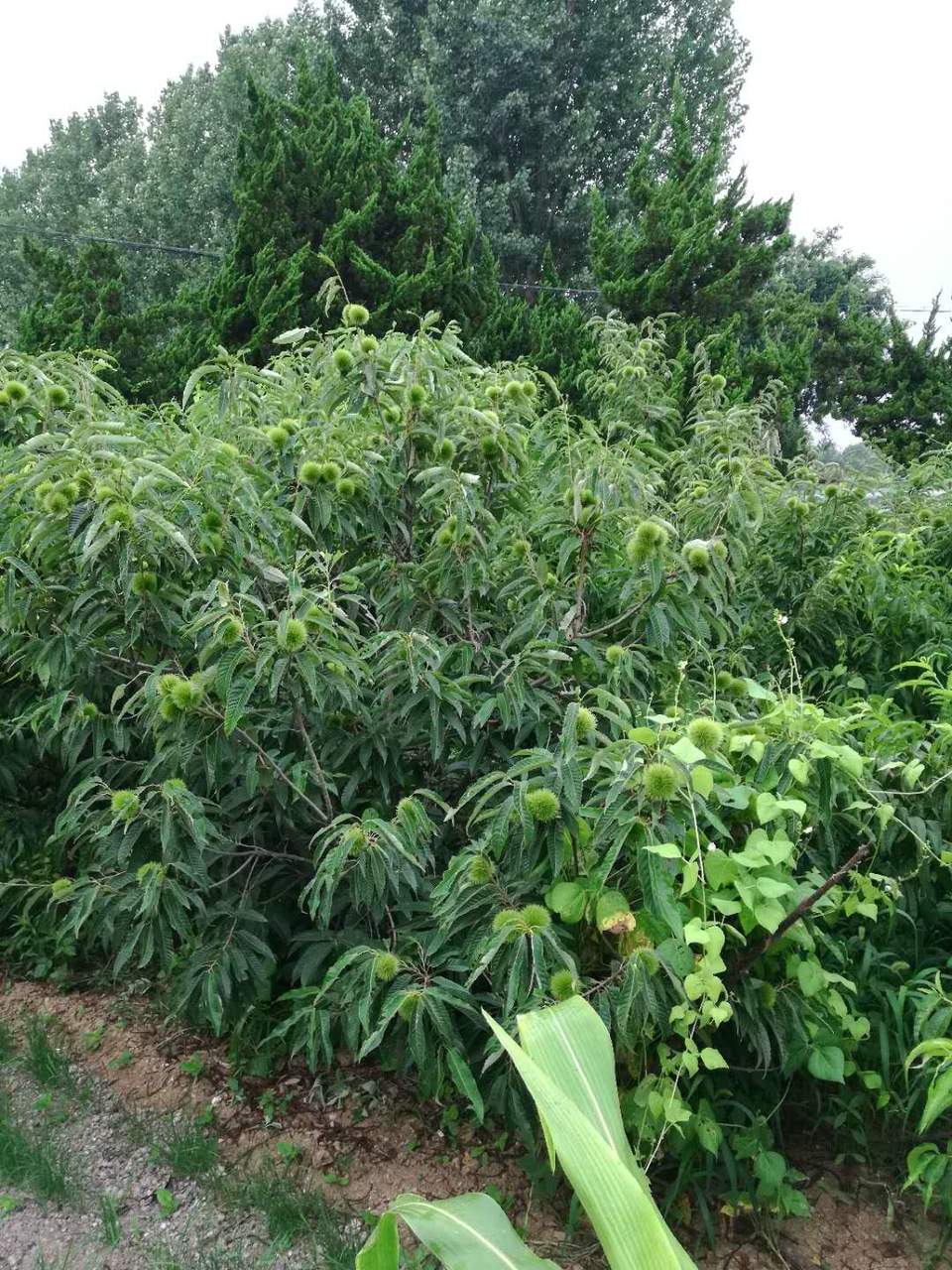 36Sm2GH-Fvs82KrQW7nAuHc8S3w1y3ZpWNFBe9hBukudIkRHrDUZDlycFtN4RPHj