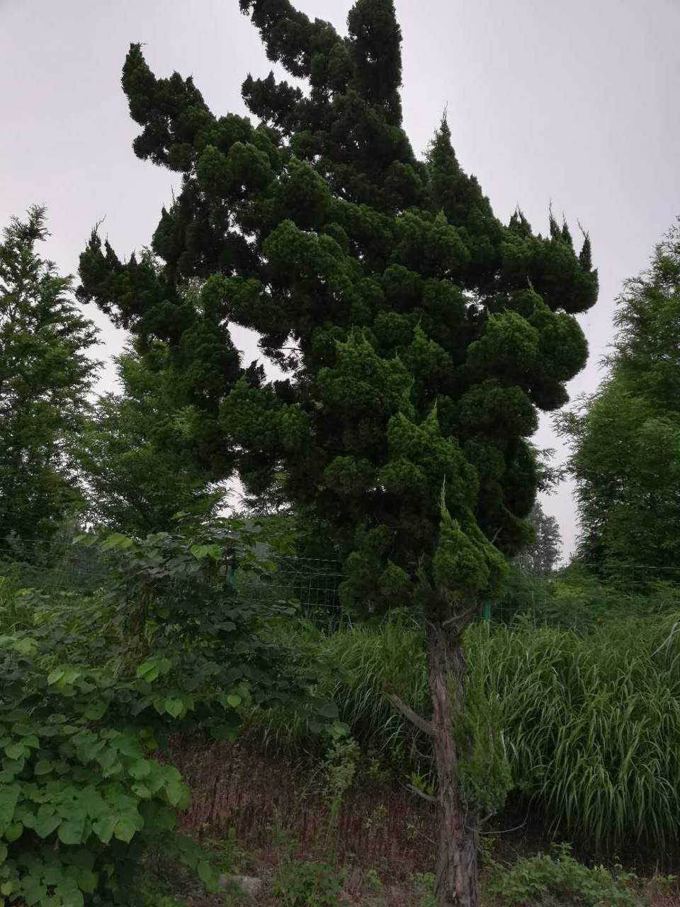 qWeVIjwA3tRb2yNUGl7ZldQxEBhiyKFKfHbOZi8ENzPI9Yob8qHwJVlIIBB_x0dF