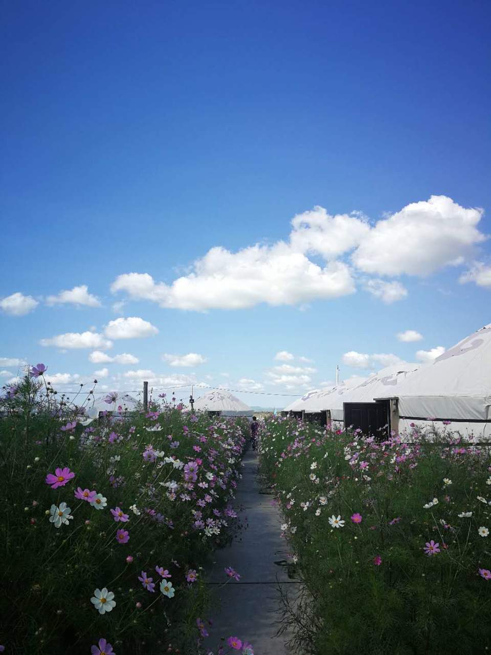 xPqPDgZ3yPLqMSBlXoXMqp4DBg1G83FE4kuNrtMS3f8py_0SpCuEo8bNtB0BVmV1