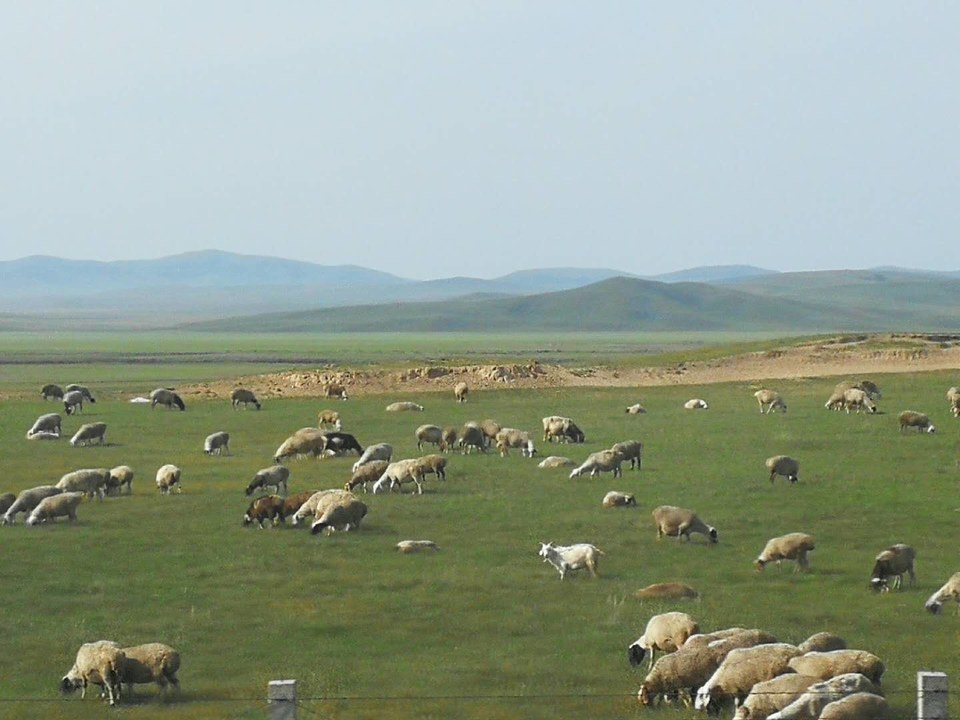 1Y3PWorYX416OYHYHanV2zGMIzd1l-ifKgwAu5ldNJaL9xNE0ynZivv41JamNzq0