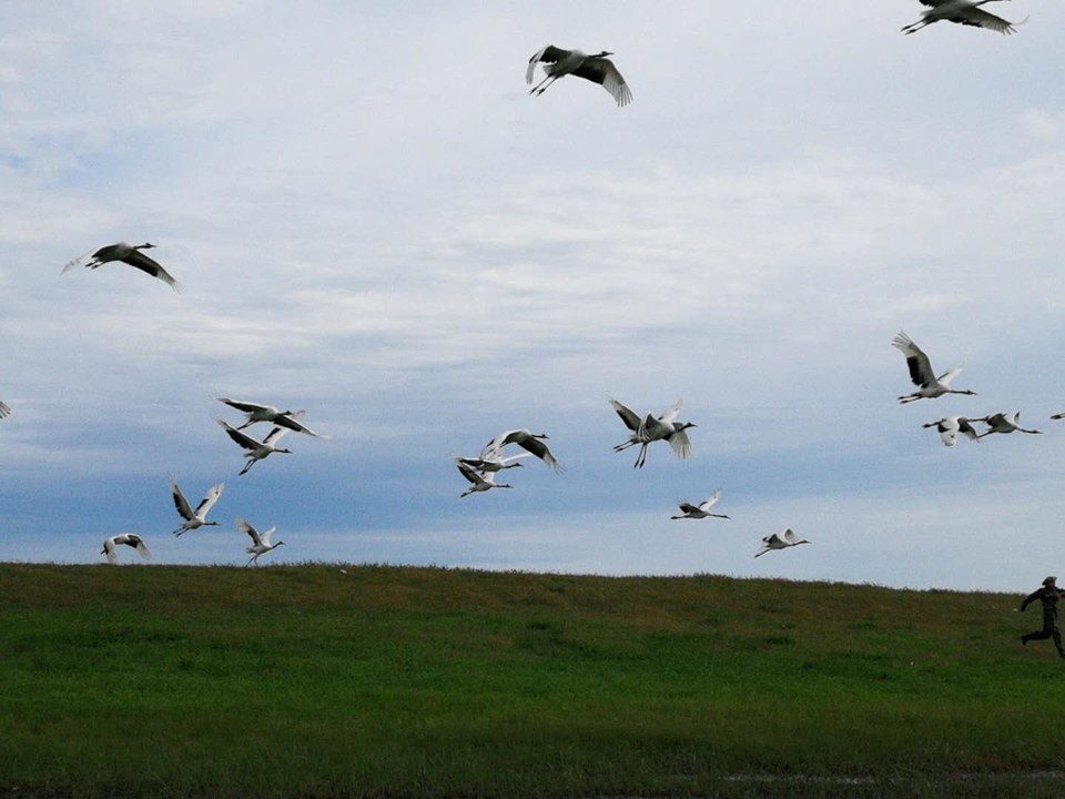 aY1MheobIOExNBnx2WN9U7ikO3fO7UewCQf3LQJb2PB34y1foBiUO7fIfcOd2SvI